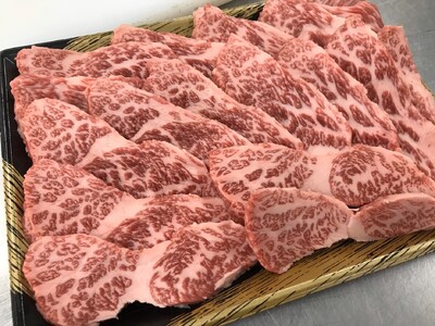 【数量限定】 博多和牛ロース焼肉用500g  博多和牛 ロース TKZ007