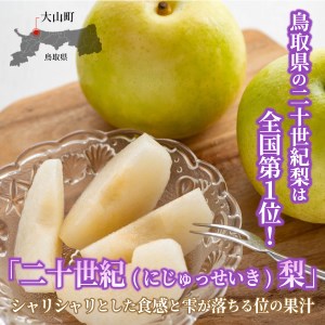 DS-02　二十世紀梨 5kg