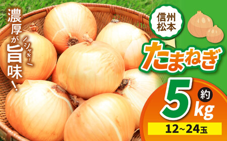 【先行受付】たまねぎ 2L～M 12～24玉 約5㎏
