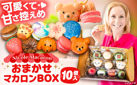 マカロンボックス 10個入 マカロン[AEDA001]