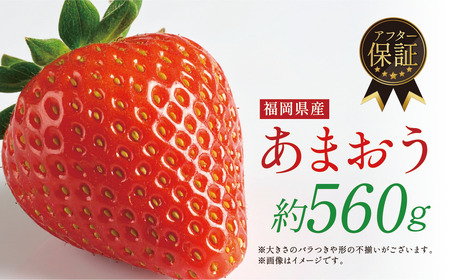 【1月上旬以降順次発送予定】博多あまおう 計約560g｜ONE GO あまおう as45-001