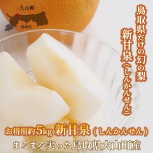 【先行予約】DS-03　新甘泉梨（５ｋｇ）