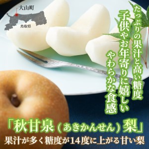 DS-04　秋甘泉梨（５ｋｇ）