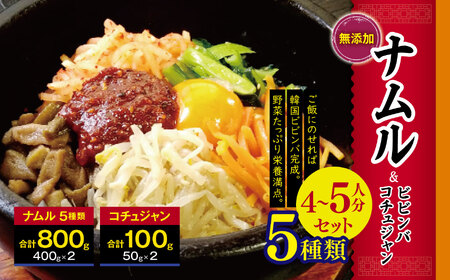 韓国 家庭料理 ナムル 5種類(800ｇ)と ビビンバ コチュジャン (100g) 4～5人分セット 