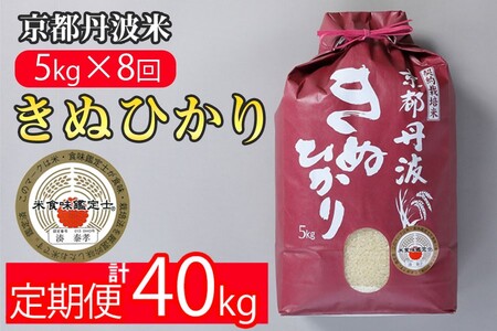 【8回定期便】きぬひかり 5kg 定期便 精米 白米