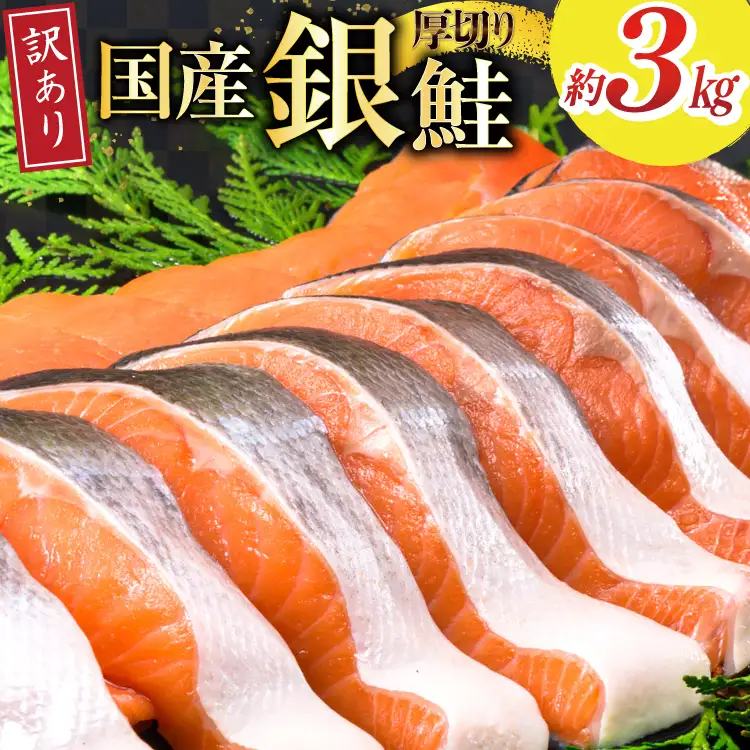 訳あり 国産 減塩 厚切り 塩銀鮭 切身 計 3kg [足利本店 宮城県 気仙沼