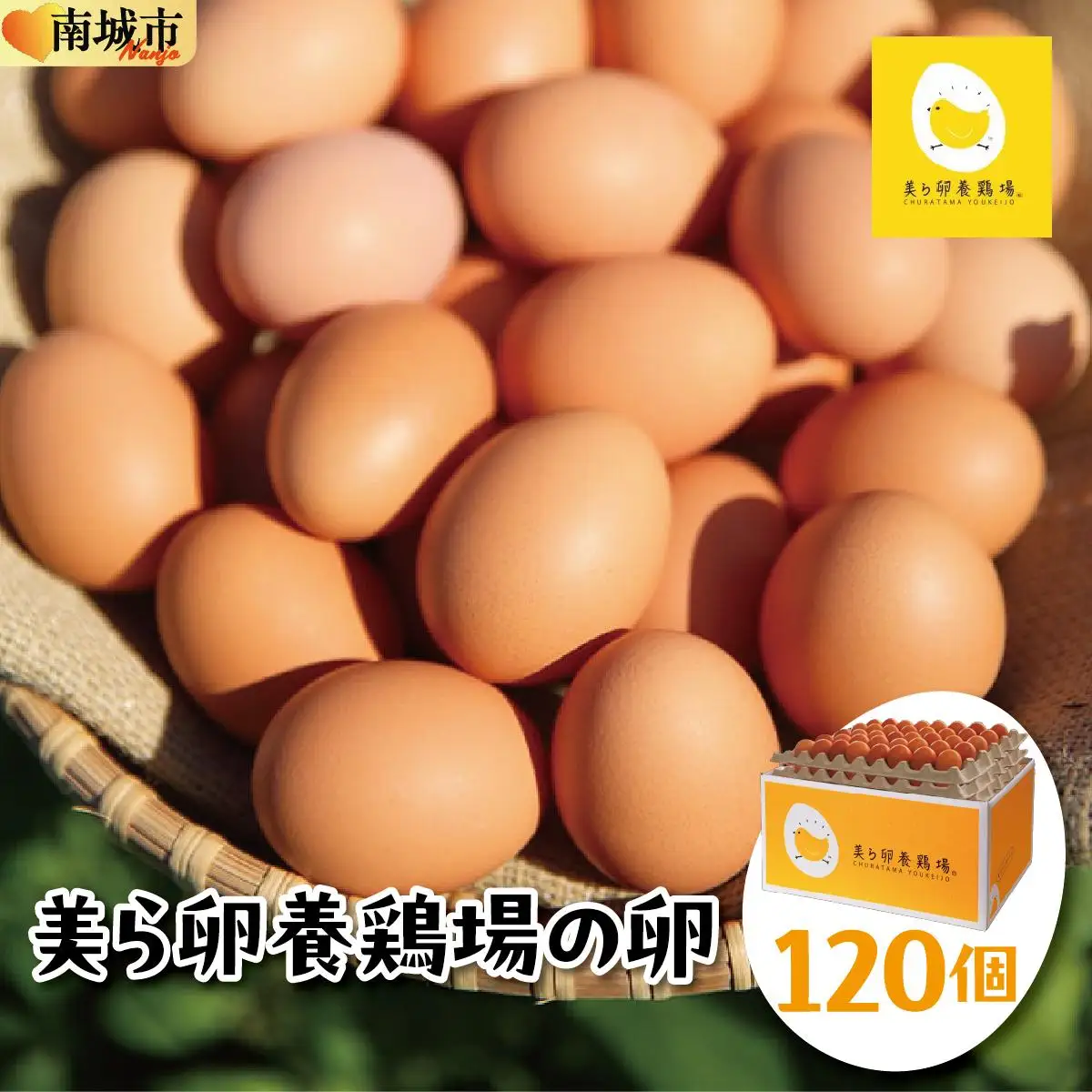 美ら卵養鶏場の卵 120個【順次配送】   
