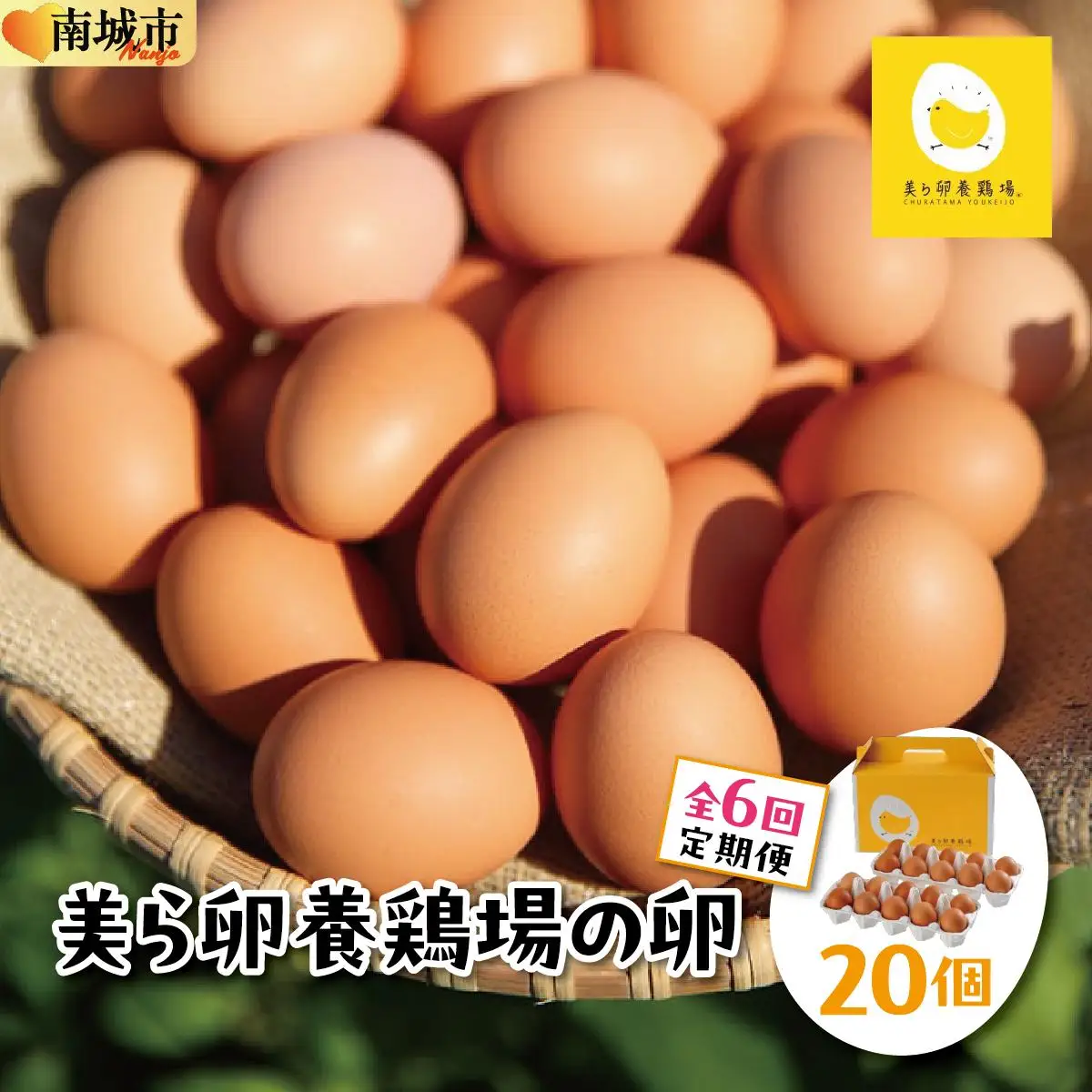 美ら卵養鶏場の卵 20個【6ヶ月定期便】   