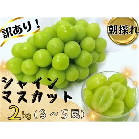 【2026年先行受付】お試しフルーツ王国岡山シャインマスカット2kg!　朝採れぶどう3～5房【配送不可地域：離島】【1633324】