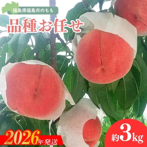 No.3113 福島の桃 約3kg品種・玉数おまかせ【2026年発送】