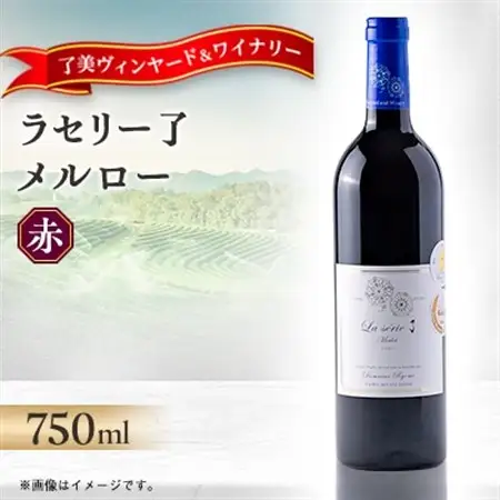 自社葡萄を使用した赤ワイン メルロー 750ml×1本【1599867】