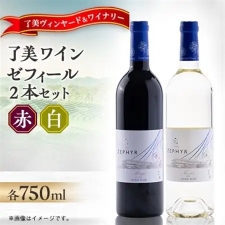 了美ワイン 赤ワイン・白ワイン 飲み比べ2本セット 750ml×各1本【1599872】