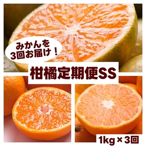 柑橘 定期便 SS【全3回】家庭用【 和歌山県 有田 】 ※北海道・沖縄・離島への配送不可 / 定期便 フルーツ ゆら早生みかん 有田みかん 3回 【ikd050-ss-c】