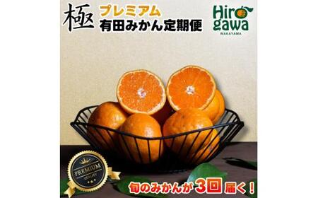 極プレミアム 有田 みかん 定期便 【1kg×3回】 / 温州みかん 有田みかん 甘い 厳選 高級 和歌山 有田 1kg ※北海道・沖縄・離島への配送不可 【ikd050-mikp-1-3】