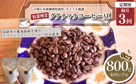 【コーヒー豆 定期便 隔月3回】 訳あり グアテマラ コーヒー豆 800g EW