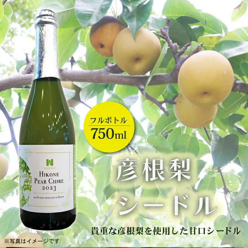 【シードル】 彦根梨シードル 750ml ワイン お酒 フルボトル