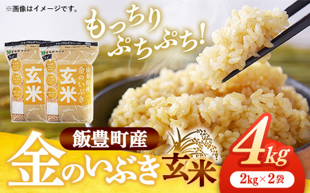 山形県飯豊町産 金のいぶき 玄米 4kg (R7年産） - 玄米ブランド 米 玄米ごはん 品種 銘柄 ブランド米 玄米食 食物繊維 ビタミン いいで農産 山形県 飯豊町【価格改定】