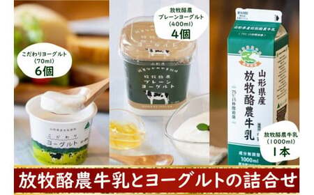 放牧酪農牛乳とヨーグルト詰め合わせ - パスチャライズド牛乳 プレーン 加糖 食べ比べ 乳製品 飲料 おすすめ 送料無料 山形県 飯豊町 飯豊ながめやま牧場