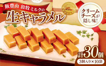 飯豊山放牧ミルクの生キャラメル - 生キャラメル キャラメル お菓子 スイーツ おやつ 30本入り 芳醇 ご褒美 くちどけ お取り寄せ 冷凍 おすすめ 送料無料 山形県 飯豊町