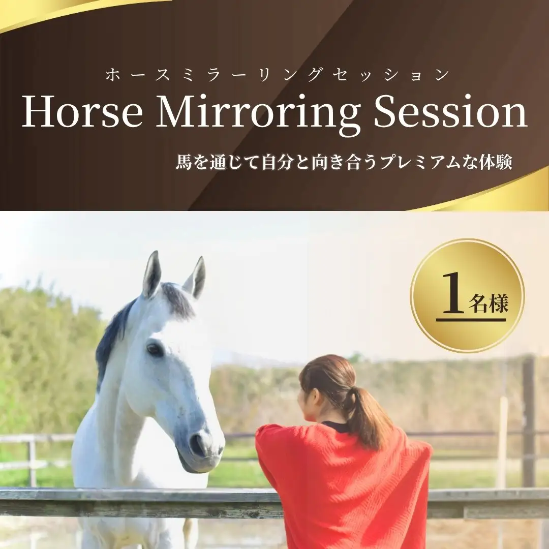 ホースミラーリングセッション 1名様 ｜ 乗馬 福島県 南相馬市