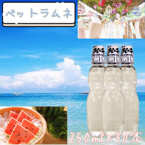 【なつかしい味】ペットラムネ（250ml×30本）