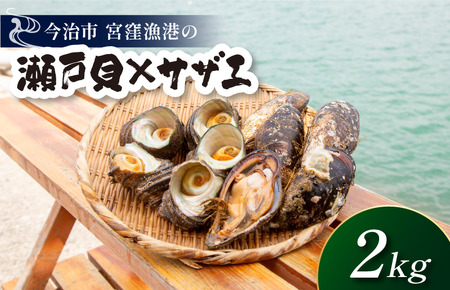 幻の貝「瀬戸貝」と高級サザエ【瀬戸貝3～4個（約1kg）・サザエ4～5個（約1kg）】【V002770】