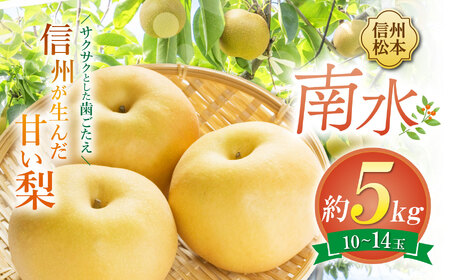 【先行受付】南水 10～14玉 約5kg