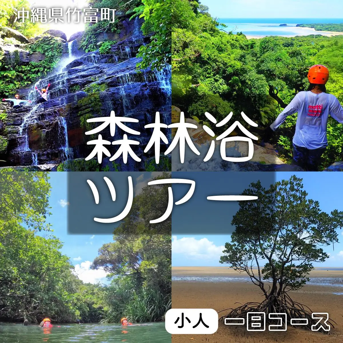 西表島 森林浴1日ツアー 小人1名分