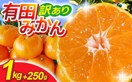 家庭用 有田 みかん サイズ混合(2S～2L) 1kg+250g ※11月発送(完熟) / 温州みかん 有田みかん 訳あり 甘い 光センサー選果 果物 柑橘 和歌山 ※北海道・沖縄・離島への配送不可 【ikd004-cm-1-nov】