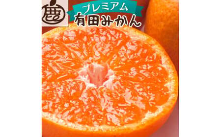 鹿蔵の 有田 みかん プレミアム (完熟) 1kg+250g（傷み補償分） / 温州みかん 有田みかん 甘い 高級 厳選 和歌山 柑橘 ※2026年11月中旬〜2027年1月下旬に順次発送 ※北海道・沖縄・離島への配送不可 【ikd004-prem-1B】