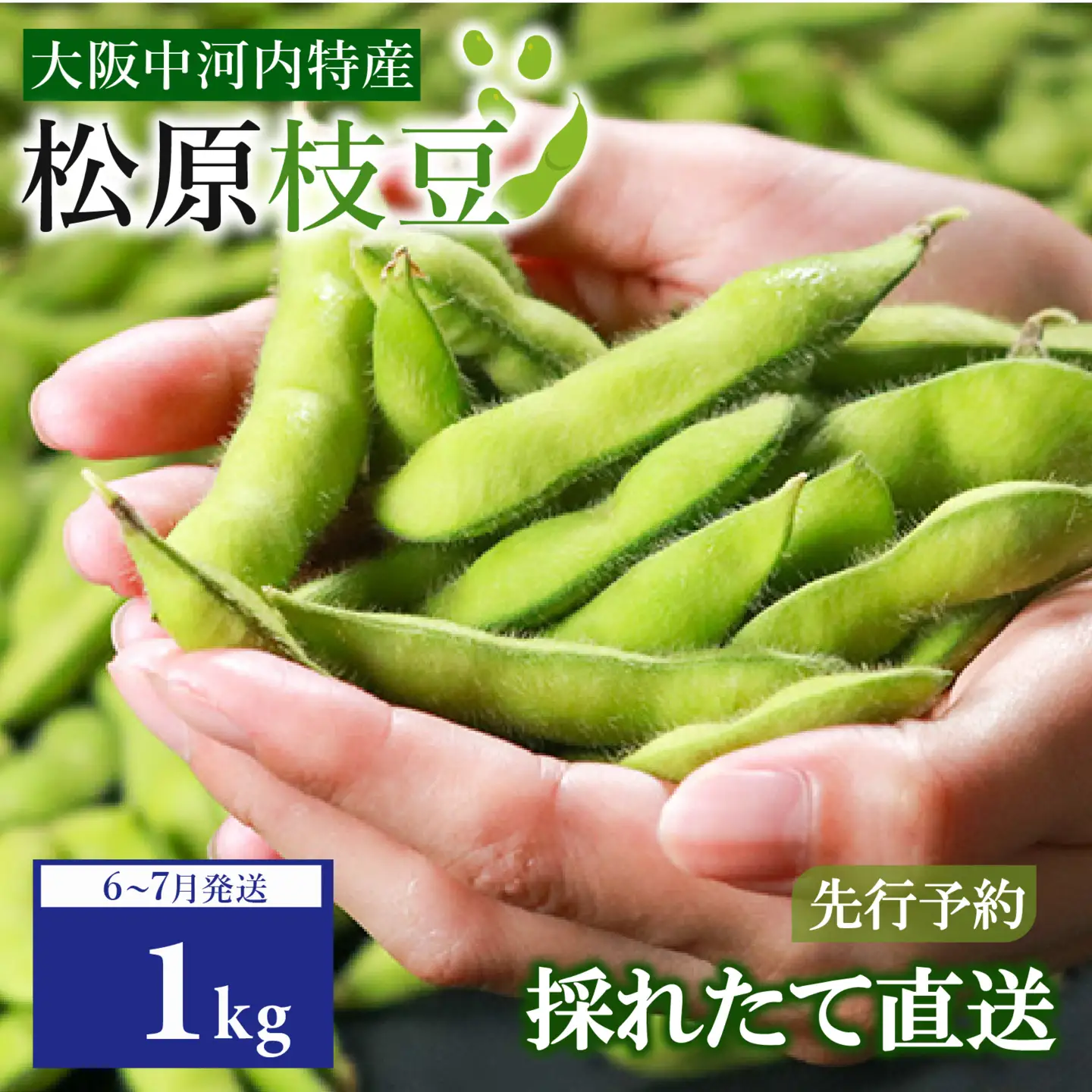 【濃厚な甘み】有機肥料 枝豆 大粒 1kg 冷蔵 上田ファーム