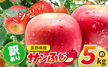 りんごサンふじ 5ｋｇ 訳あり