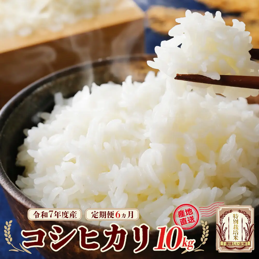 令和7年産　特別栽培米　コシヒカリ　10kg×６回　計60kg　【6か月定期便】雪蔵銀ぴか米 　【07208-0686】