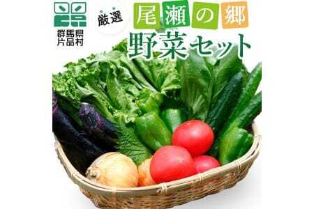 【期間限定】尾瀬の郷　野菜セット