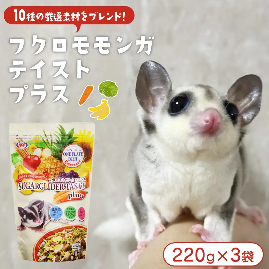 フクロモモンガ テイストプラス 220g × 3袋 フクロモモンガ 小動物用フード ペットフード おやつ 乳酸菌配合 [BU036sa]