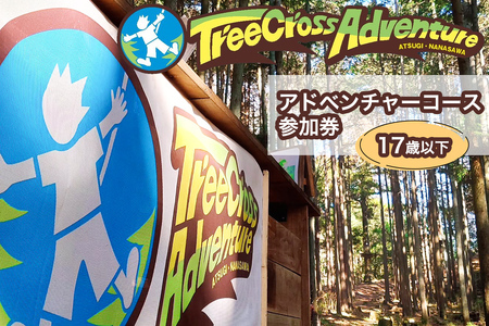 【ふるなび限定】アドベンチャーコース 参加券 (17歳以下) FN-Limited-SP｜フィールドアスレチック 大自然体験 遊具 ツリークロスアドベンチャー 本格的 ハード リラックス 滑空 非日常 爽快 都心から一番近い [0444]