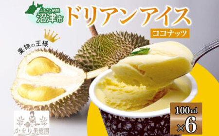 ドリアン ココナッツ アイスクリーム 100ml 6個 濃厚 ココナッツ ミルク