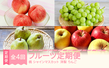 先行予約 フルーツ定期便全4回 2026年産 ns-ft4xx