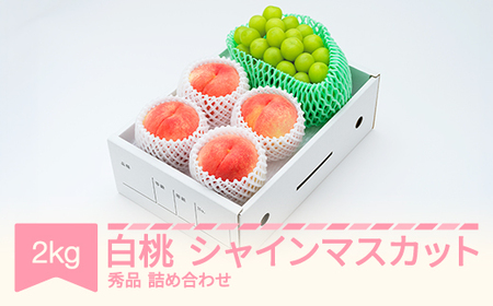 先行予約 白桃＆シャインマスカット 約2kg 2026年産 ns-fshsx2