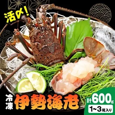 活〆冷凍伊勢海老600g【配送不可地域：離島】【1607625】