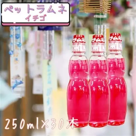 ペットラムネ イチゴ(250ml×30本)【1598130】