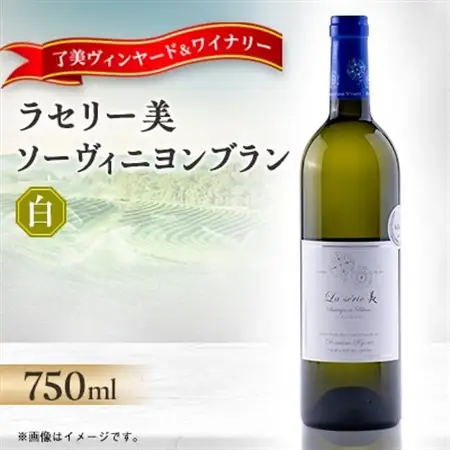 ラセリー美 ソーヴィニヨンブラン 750ml×1本【1599866】