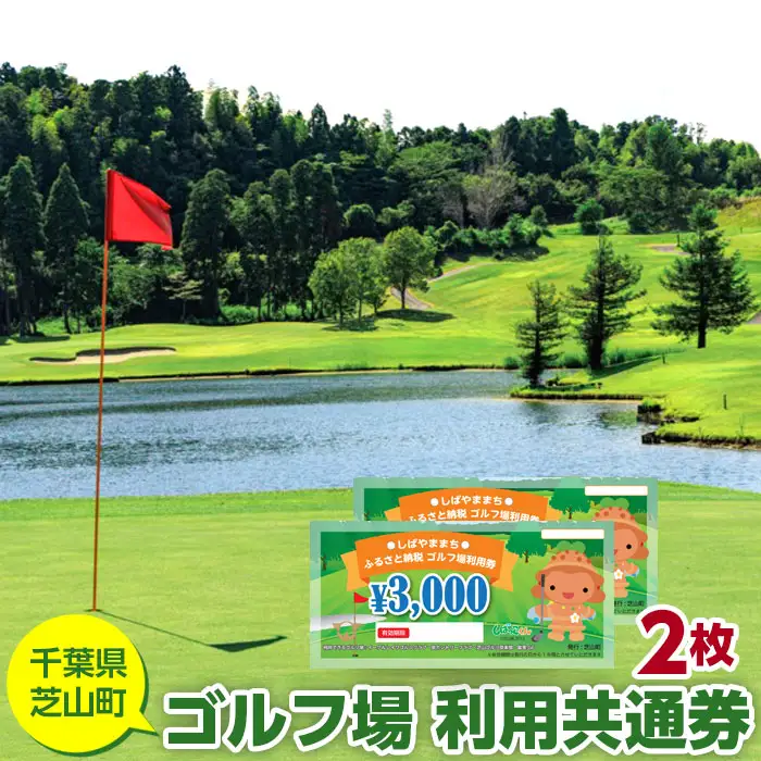 No.002 芝山町ゴルフ場利用券　2枚