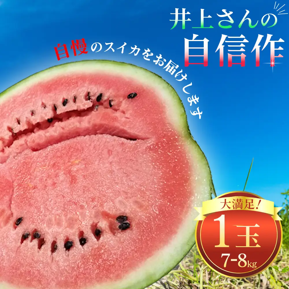 No.011 井上さんの西瓜「自信作（赤肉スイカ）」2Lサイズ以上1玉 ／ スイカ すいか 西瓜 2L 完熟 糖度 高糖度 甘い シャリ感 果物 フルーツ 旬 産地直送 お取り寄せ 贈答 ギフト 暑中見舞い 夏休み デザート 千葉県
