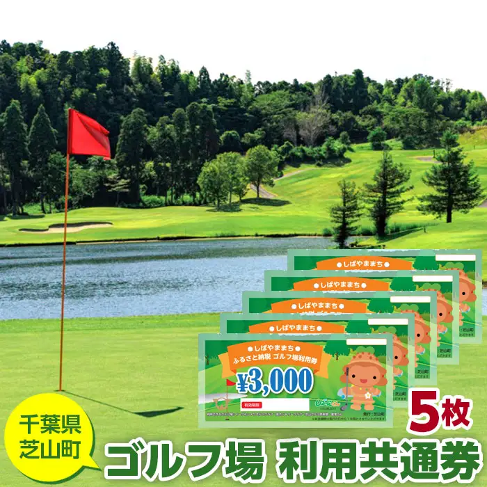 No.005 芝山町ゴルフ場利用券　5枚