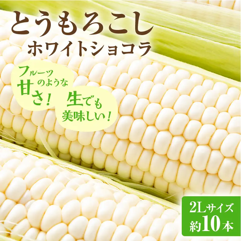 【2026年発送】富良野産 とうもろこし ホワイトコーン 約10本 コーン とうきび トウモロコシ ホワイトショコラ 2Lサイズ 野菜 甘い BBQ 北海道 富良野 ふらの