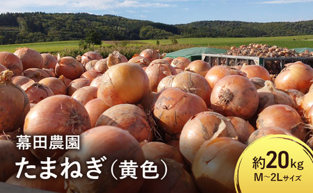 【2026年先行受付】富良野産 黄色 玉ねぎ 約20kg（約75～80玉） M～2Lサイズ　野菜 新鮮 直送 黄玉ねぎ 玉葱 玉ネギ 道産 北海道 富良野市 ふらの 幕田農園