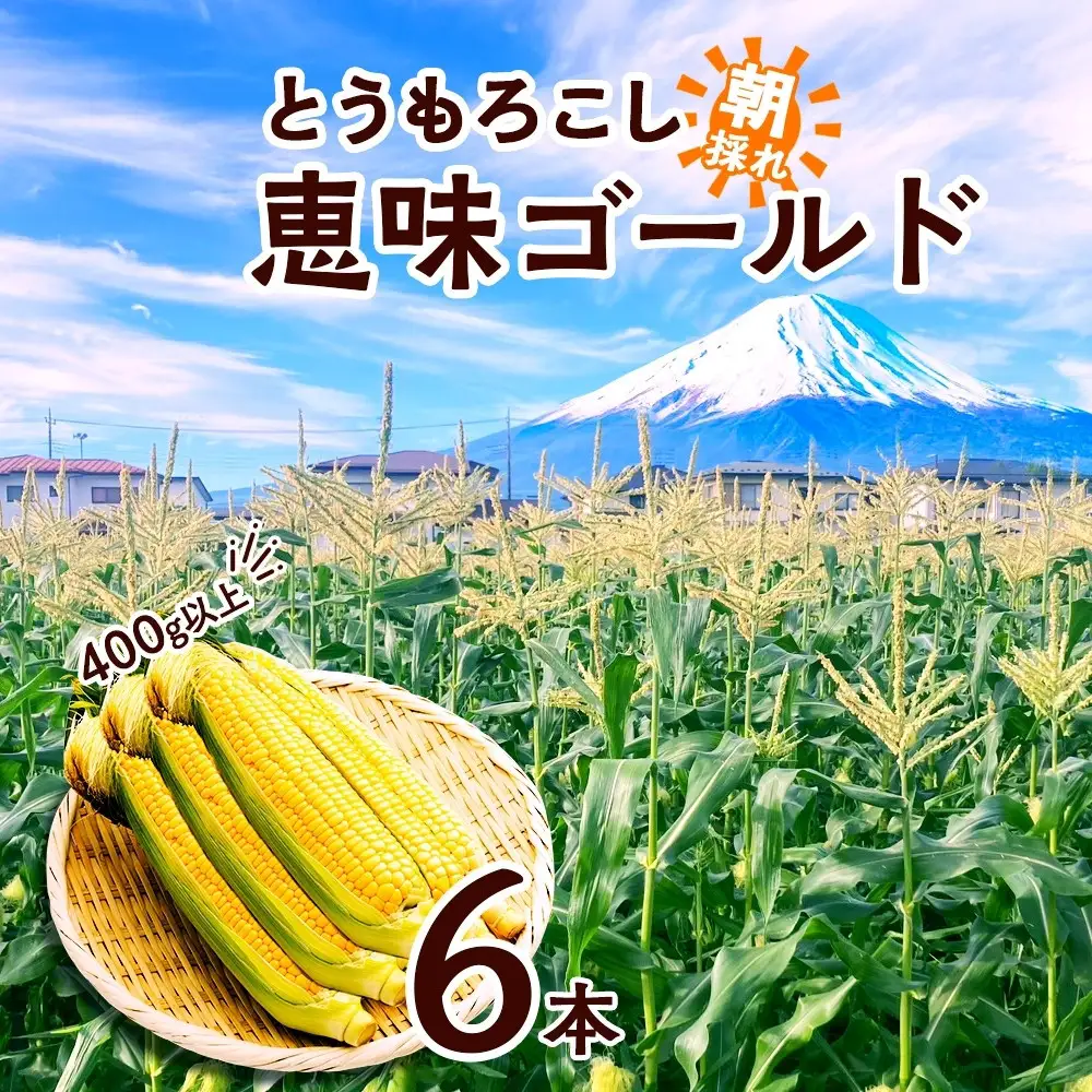 【2026年先行予約】とうもろこし 恵味 ゴールド 400g以上 × 6本 高糖度 トウモロコシ スイートコーン 玉蜀黍 イエローコーン 黄 夏野菜 甘い ジューシー 野菜 おやつ 旬 産地直送 湖南野菜出荷組合 山梨県 富士河口湖町