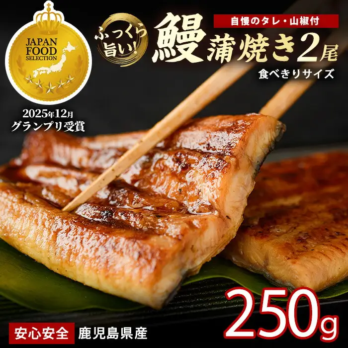 鹿児島県産 うなぎ蒲焼 じっくり焼き約125g×2尾 化粧箱 入り 大新 IB021-011 うなぎ うなぎ