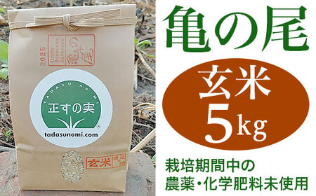 亀の尾 5kg 玄米 自然なお米 Oryza Jozucana Satonaya 新潟県胎内市城塚産 未検査米【正すの実】